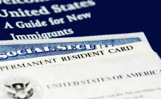 Green Card 101: Everything You Need to Know
